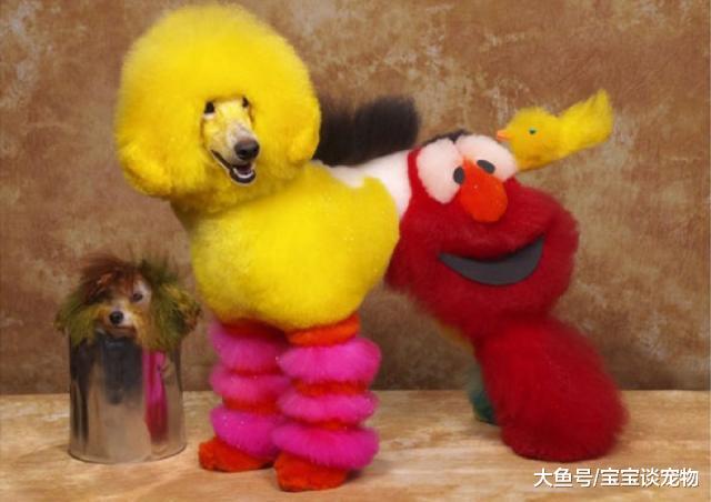 求放过！你家狗快被你弄死了你知道吗？！