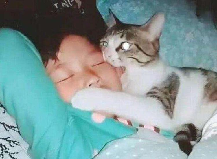 小女孩被骂哭, 猫咪反手给了主人一巴掌, 也不看是谁罩的?
