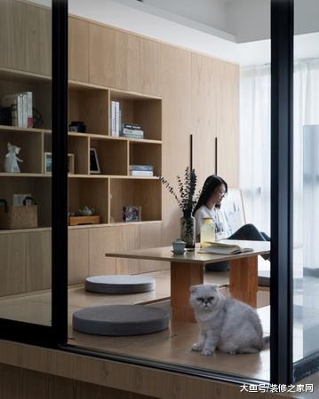 养猫的小姐姐住的房子，这绝对是个合格的铲屎官
