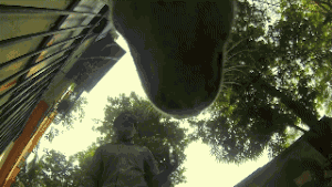 流浪狗一天的遭遇，看完莫名心酸