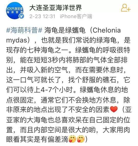 海龜在海洋館里趴了5年都沒動？官微回應了