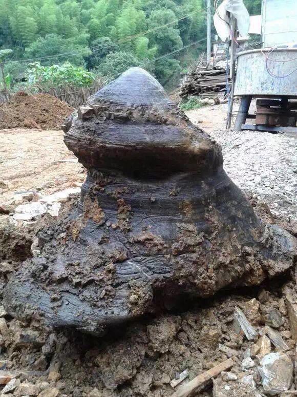 为致富村里挖池塘搞养殖，但挖出的东西让人感到害怕