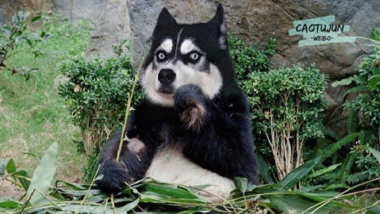 大概就是，时间长了，看什么都像