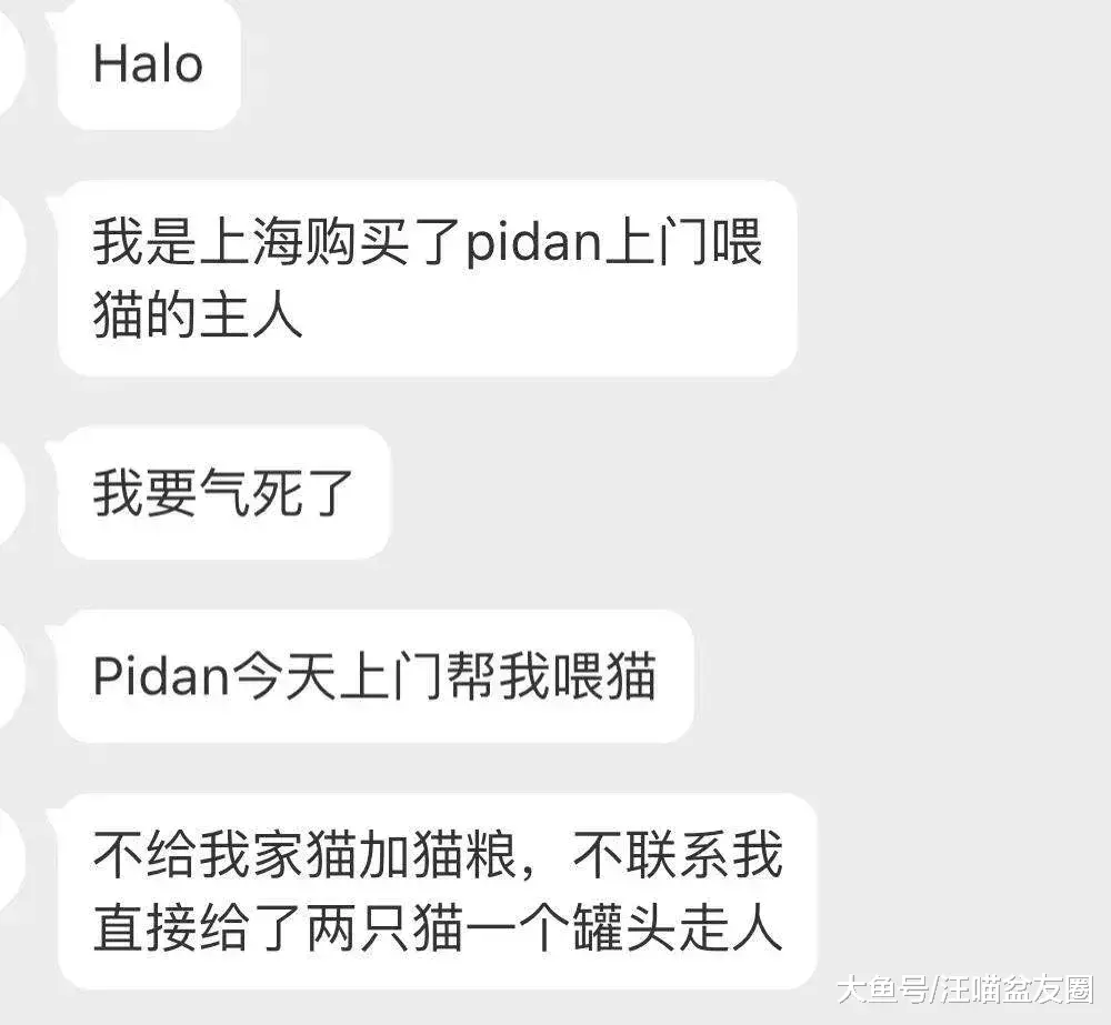 誰能想到，花150元雇人喂貓，我的貓卻成了救助對象