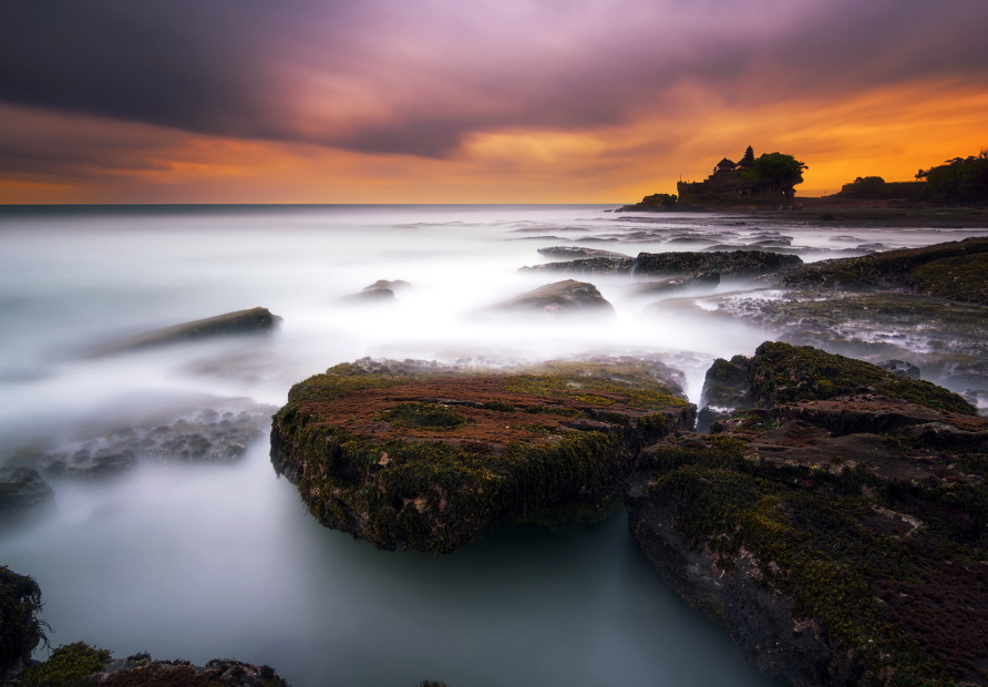 蜥蜴岛的浪漫旅行