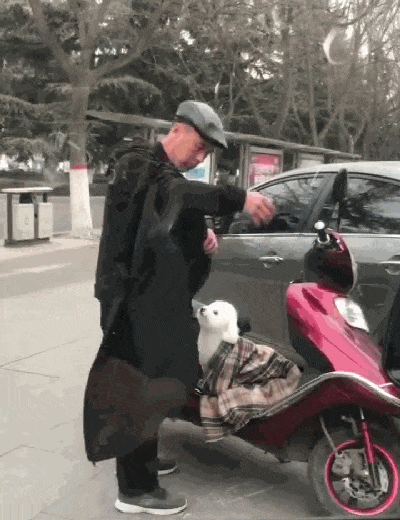 猫咪被带去姥姥家, 姥姥怕猫冻脚给它穿鞋子, 猫的反应亮了……