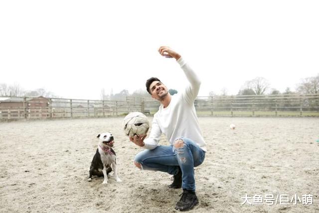 狗狗拍照不好看，56%的人表示不会领养，原来这个世界真的看脸！