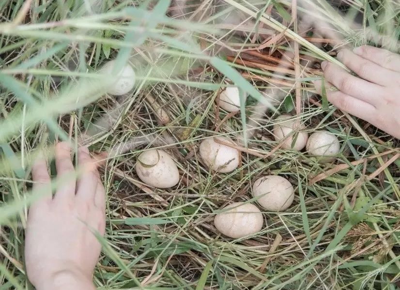 一家三口，住6000平米的房，这也许就是“美好生活”应该有的样子！