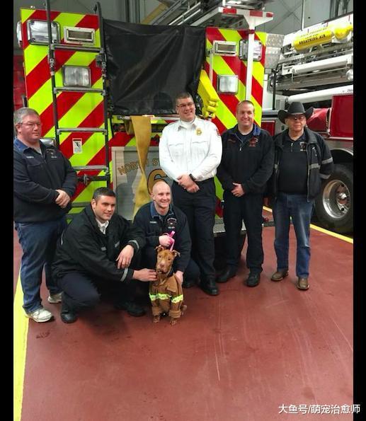 狗被主人关在地下室长达5年, 它从没见过外面世界, 甚至一丝阳光