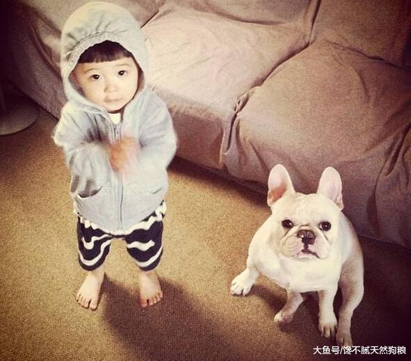 为何“法牛”卖那么贵？这5个因素影响，想不贵都难