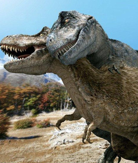 恐龙是如何交配延续后代的？困扰了生物学家好多年