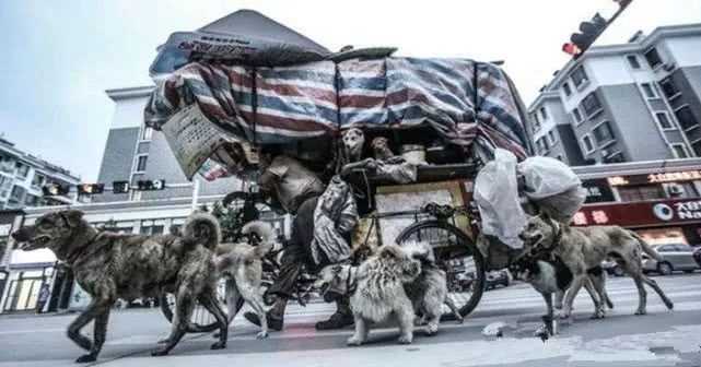 六条腿狗狗陪伴生病男孩，带他走出自卑...