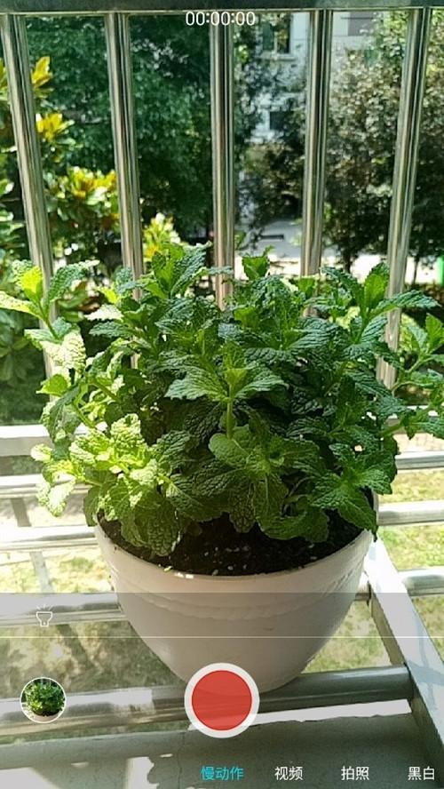 乐Pro3双摄AI版摄影技巧终章—手机拍照也能媲美单反