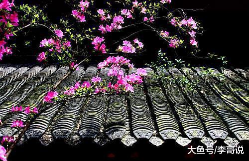 人生，需要沉淀，更需要慢下来
