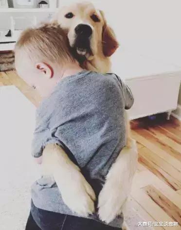狗狗和孩子相处的画面……这大概就是天使遇上天使吧！