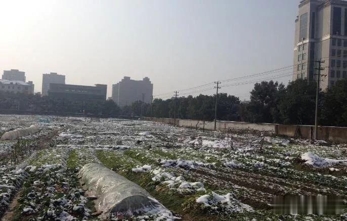 11月有一大波地块出让，涉及平水、杨汛桥、福全……