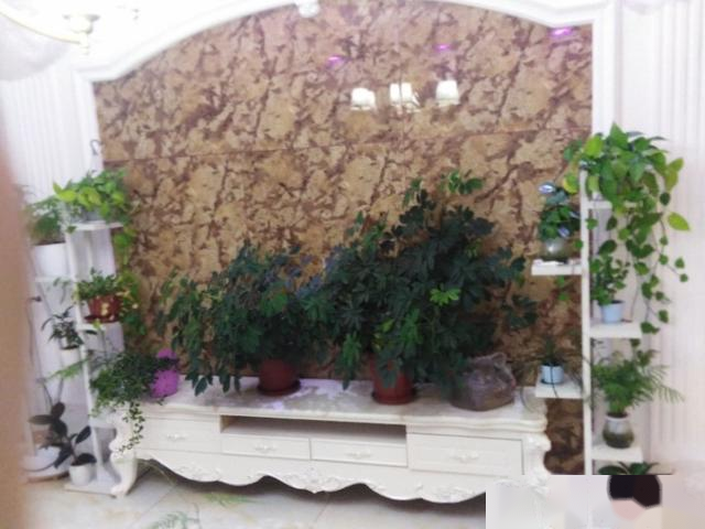 快到50岁了！终于有了一个像样的房子！