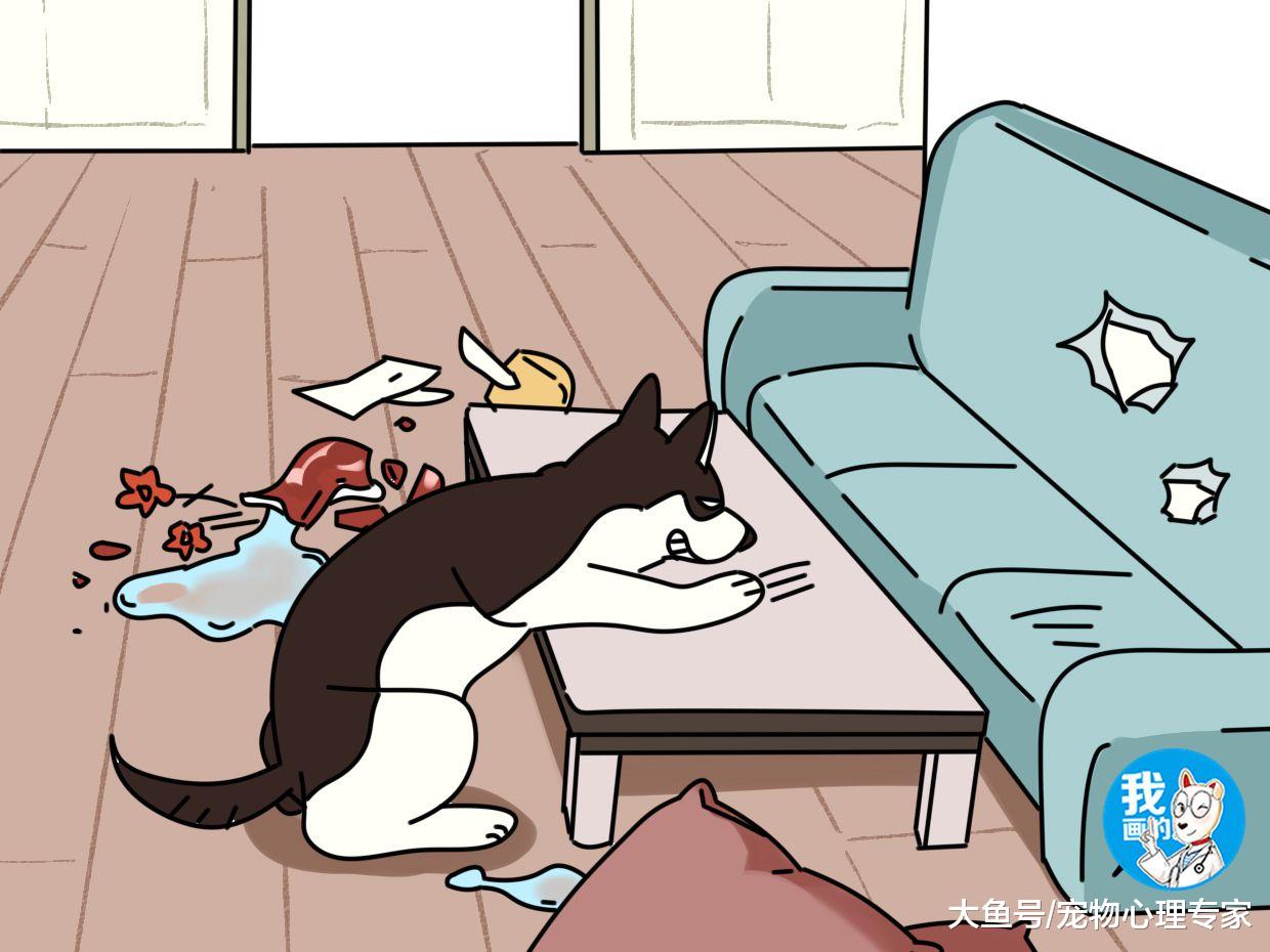 心心念念的国庆长假到了，计划定了吗？说的是你家主子