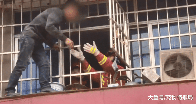 一名男子搞大好友女朋友的肚子，竟直接爬上二楼，喊话：你不用管我!