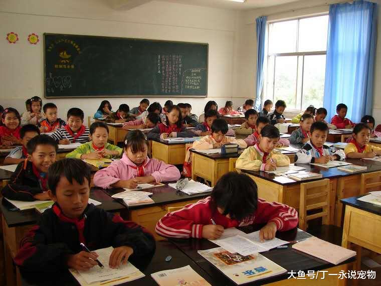 老师兼职做微商，消息发错群道歉后, 家长表示可以照顾生意？