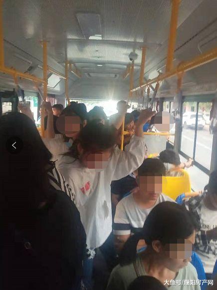 好消息！濮阳这个县通公交车啦，还能免费试乘！