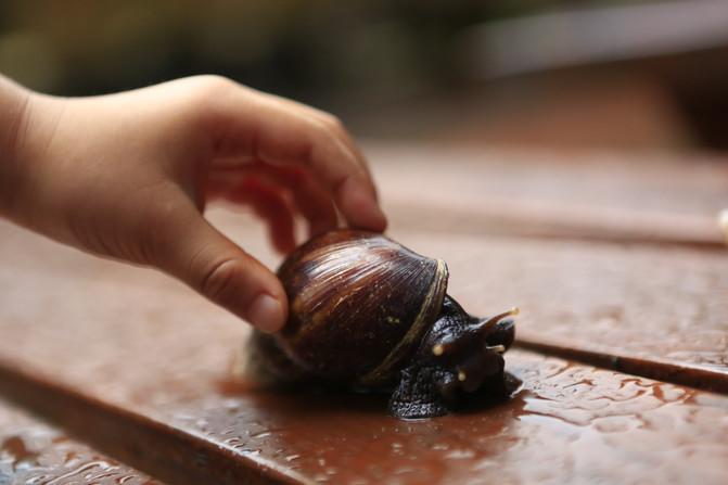 舍得台湾之惊艳民宿