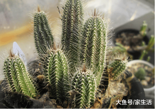 家里若是有這些情況，趕緊要糾正過來，除非你想財運受阻