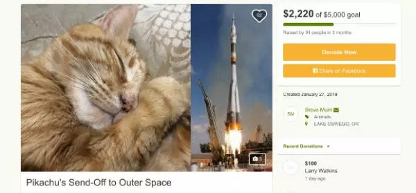 想把猫主子的骨灰撒在太空里？这位铲屎官太秀了...