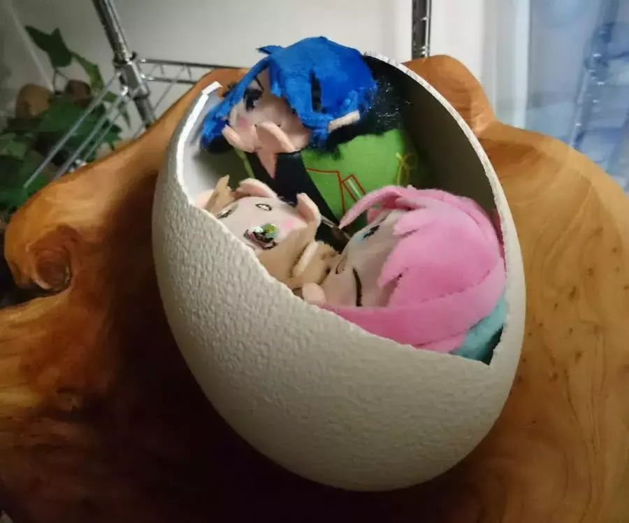 拿鴕鳥蛋殼給玉米蛇當玩具，蛇疑惑的張開嘴量了很久，感到一股絕望