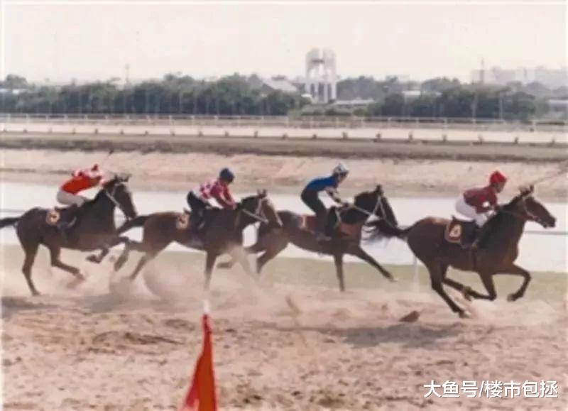 怀念，永远的香蜜湖