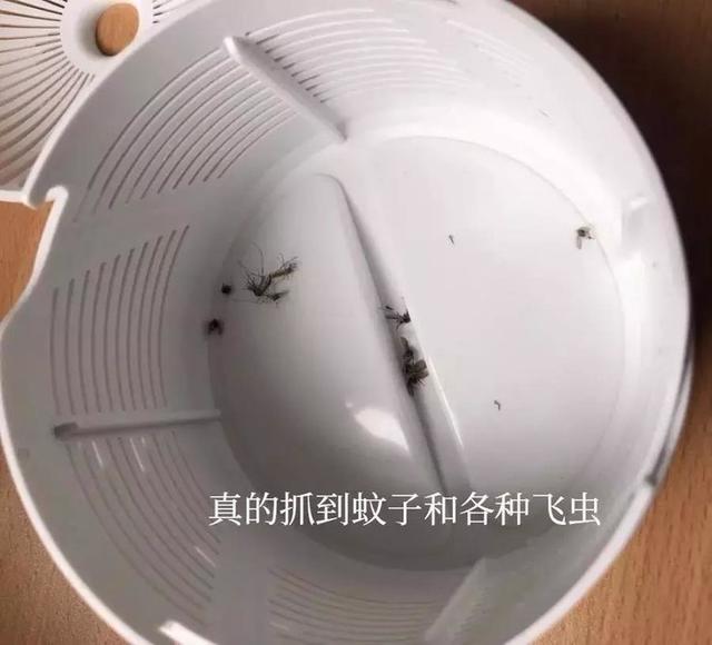 火爆全网的灭蚊灯，纯物理灭蚊，让你每天体会一种乐趣“收尸”