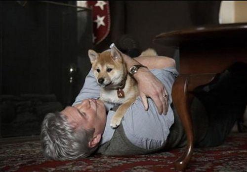 大部分狗狗有的5个坏习惯，尤其第3个，绝对容不得！