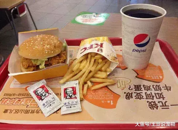 肯德基餐盘上为啥总放一纸？不是让你挤番茄酱用的，用错就丢人了