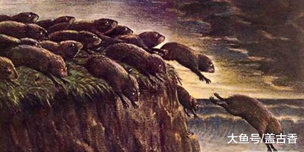 世上四大无解之谜，旅鼠自杀隔三年就发生，原因没人能说清楚！