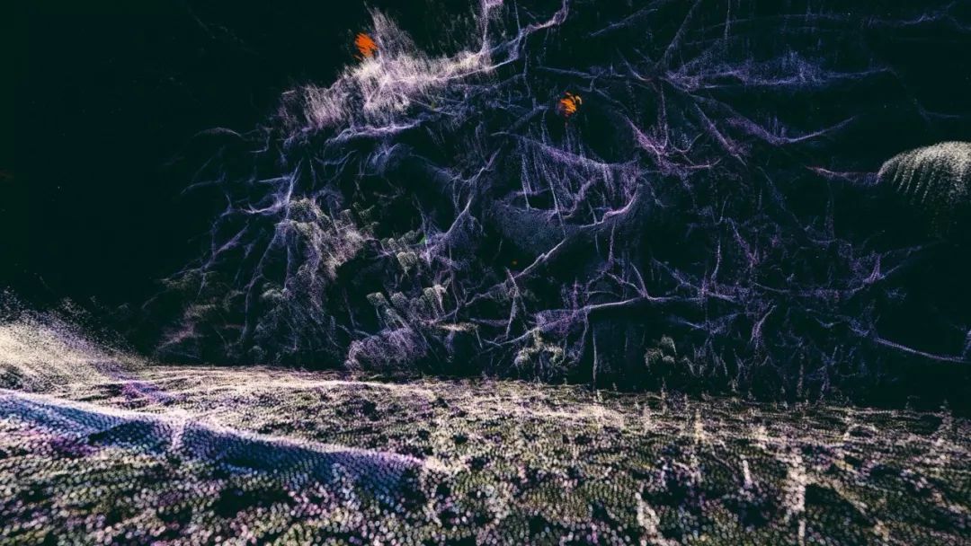 青蛙眼中的世界是什么样子？这两个VR装置展带领人们走向自然