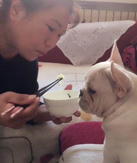 自从把狗买回家以后，妈妈把狗当孩子养，感觉自己快没妈了