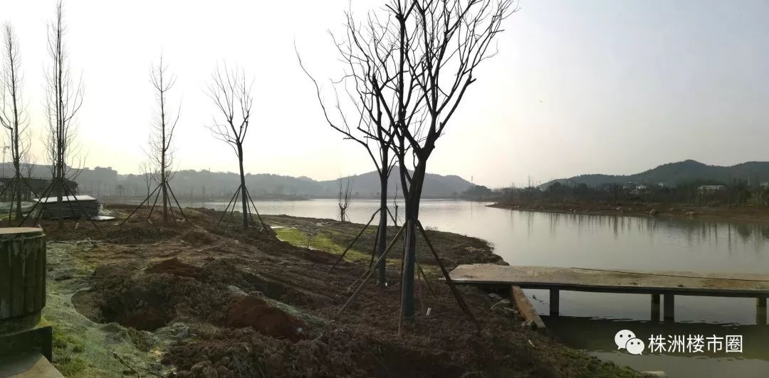 沉寂9年的株洲金山新城，2019即将爆发？