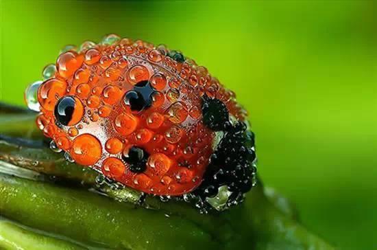 掌握这7条摄影技巧，从此告别摄影小白！