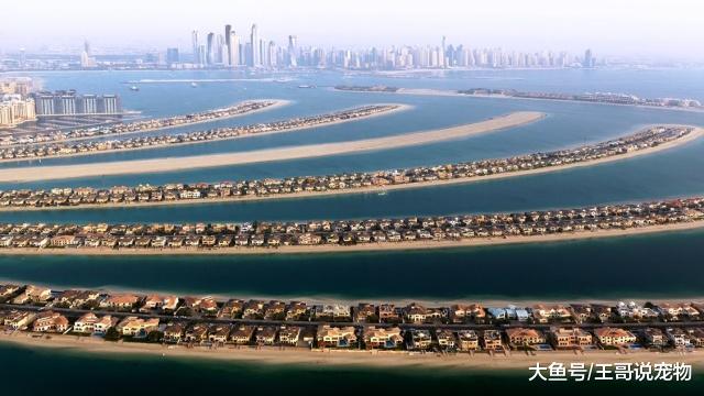 迪拜到底有多富有？贫穷限制了我们的想象力