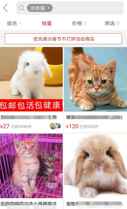 賺翻？120元在拼多多上購買中華田園貓有多可怕
