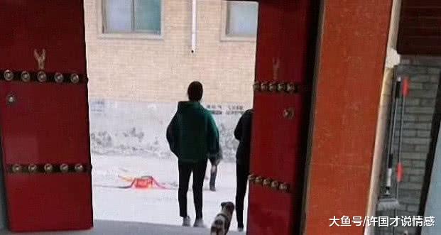 狗狗一头钻进下水道，宠主了解原因后乐坏了：瞧把你吓得！