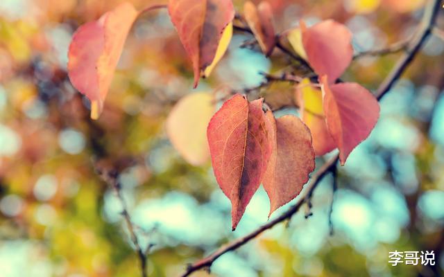 人做天看，善良做人，永远没错！