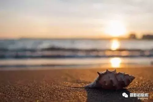 想要提升自己的手机摄影技巧, 这几个问题需要注意