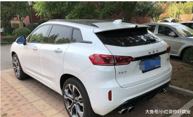 越来越多人买SUV都买这款, 太聪明了, 好看实用又好开!