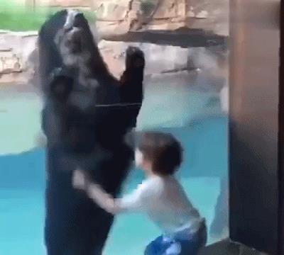 动图GIF：不是说建国后就允许成精吗（1）村里的大鹅从夜店回来后