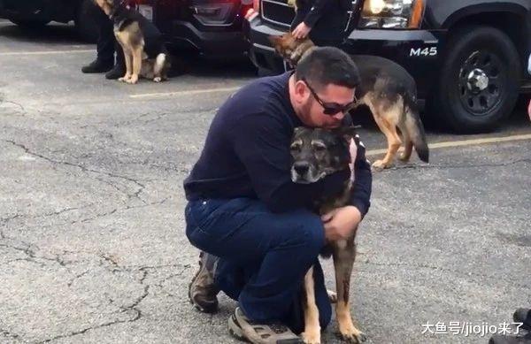 12歲警犬服務10年，剛剛開始享受退休生活卻……