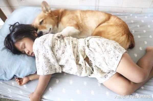 为什么女主人不能跟狗狗太过亲近? 有这5点坏处!