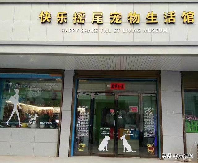 全国数百家宠物店都在做这件事——营业额翻倍, 做到这点就够了!