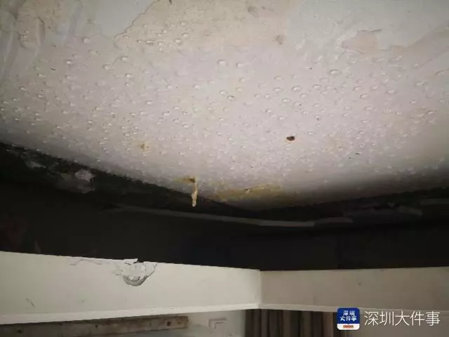 悲剧！400多万新房一天没住天花板发霉！开发商：不在保修范围