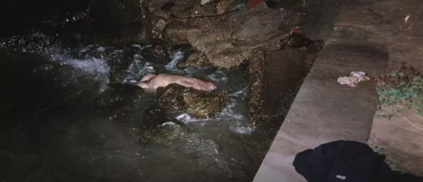 神秘尸体、无故消失的妻子，这位亿万富翁的经历太离奇